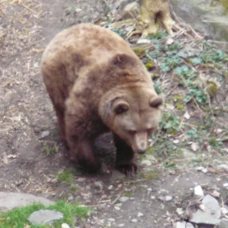 Maison d'hôtes Nina