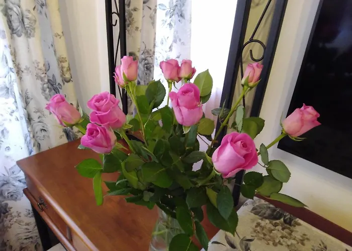 Nina Gæstehus Český Krumlov